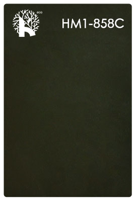 623GV0
